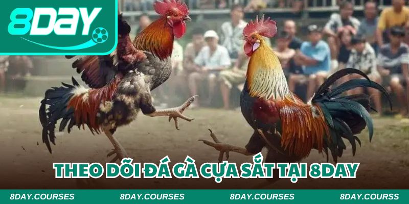 Theo dõi các “màn trình diễn” kịch tính nhất chỉ với 5 bước