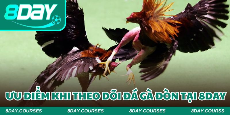 Lý do tại sao nhiều cược thủ luôn lựa chọn nhà cái 8DAY để giải trí