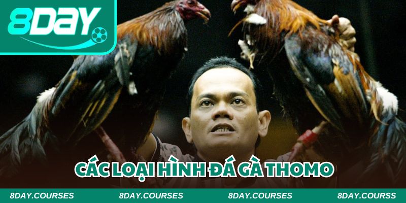 Mỗi loại hình giải trí đều mang đến trải qua thú vị khác nhau
